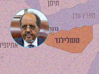 חסן שייח' מחמוד, נשיא סומליה / צילום: Reuters, Presidency of Somalia