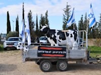 הפגנת הרפתנים והחקלאים, הבוקר / צילום: יריב דגן