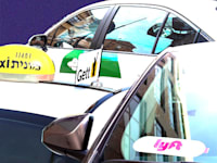 צילומים: Shutterstock / עיבוד: טלי בוגדנובסקי