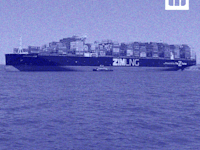 מושגים לאזרחות מיודעת. מניית זהב / צילום: Craig Coope