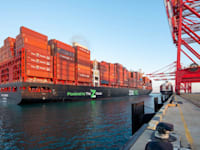 אוניית ZIM DIAMOND בנמל המפרץ / צילום: אריאל ורהפטיג