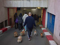 תושבים בתל באביב יורדים למרחב מוגן בשל אזעקות על ירי מאיראן / צילום: ap, Ohad Zwigenberg