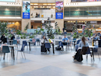 נתב''ג, השבוע / צילום: רשות שדות התעופה