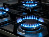 צילום: Shutterstock