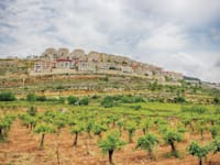 היישוב אפרת. שווי הבית עלה ל־7 מיליון / צילום: Shutterstock