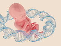 אילוסטרציה: Shutterstock