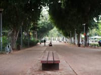 גן מאיר בתל אביב. ''בית הקפה שפועל שם, בנקודה הכי חלשה של הפארק, מוסיף מאוד לביטחון של השוהים בו'' / צילום: Shutterstock