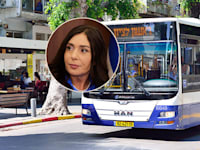 אוטובוס בישראל. בעיגול: מירי רגב, שרת התחבורה / צילום: שאטרסטוק, מארק ישראל סלם - הג'רוזלם פוסט