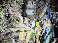 זירת התאונה בת''א / צילום: מד''א