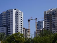 צילום: Shutterstock