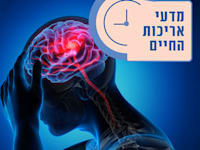 אילוסטרציה: Shutterstock