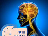 עצב הוואגוס / אילוסטרציה: Shutterstock