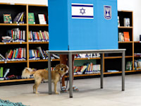 קלפי / צילום: Reuters, Corinna Kern