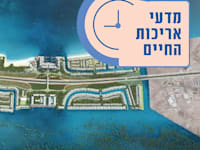 האי אל־פהיד