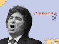 נשיא ארגנטינה חאבייר מיליי / צילום: ap, Natacha Pisarenko