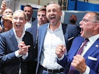 ראשי מפלגת ''אלטרנטיבה לגרמניה'' חוגגים לאחר פרסום המדגמים / צילום: Reuters