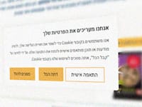 הסכמה לקבצי עוגיות / צילום: צילום מסך