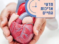 הדמיה: Shutterstock
