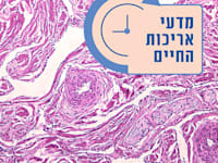 רקמת חיבור / צילום: Shutterstock