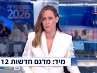 יונית לוי בערב הבחירות, אמש / צילום: צילום מסך, חדשות 12