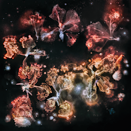 מתוך סדרת Microverse / צילום: Kathrin Linkersdorff / VG-Bildkunst©