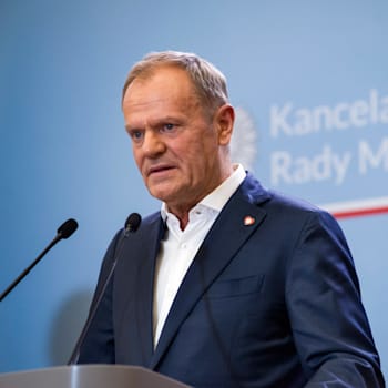 דונלד טוסק, ראש ממשלת פולין / צילום: Reuters