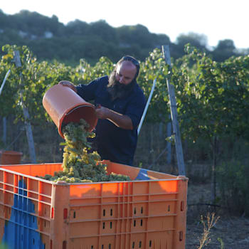הדיי עפאיים / צילום: יונתן זייד הדיי עפאיים / צילום: יונתן זייד