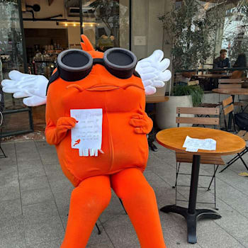 מתוך אתגר KOIpid / צילום: KOI