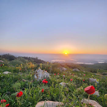 הר הגלבוע. תביאו בגד ים / צילום: יובל אינהורן