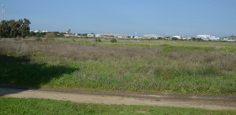 פי גלילות / צילום: איל יצהר