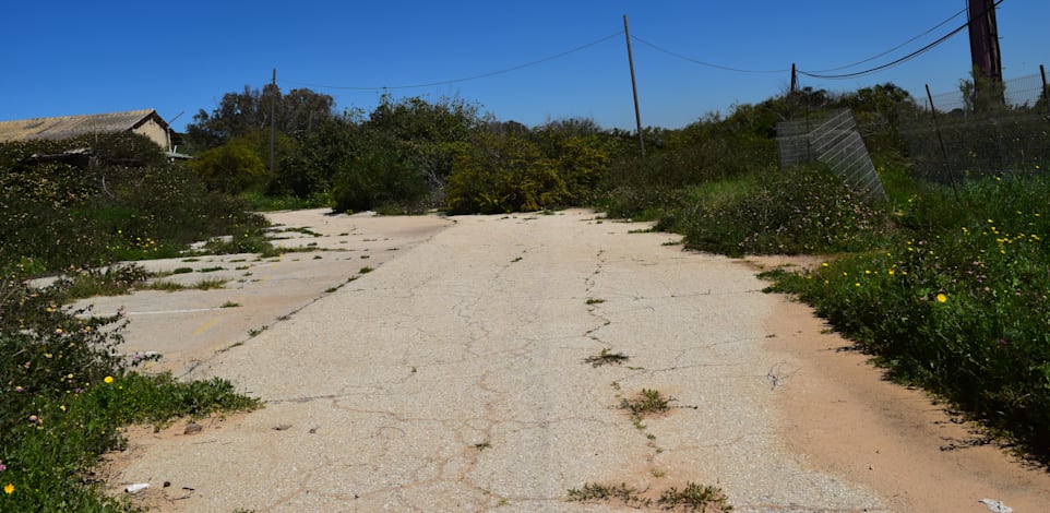 מתחם אפולוניה / צילום: בר - אל