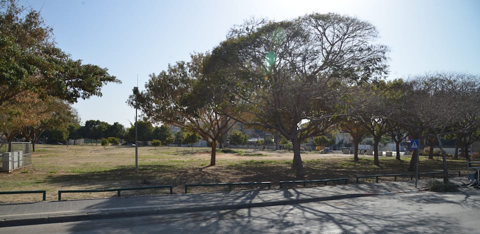 מגרש מכבי יפו לשעבר / צילום: תמר מצפי