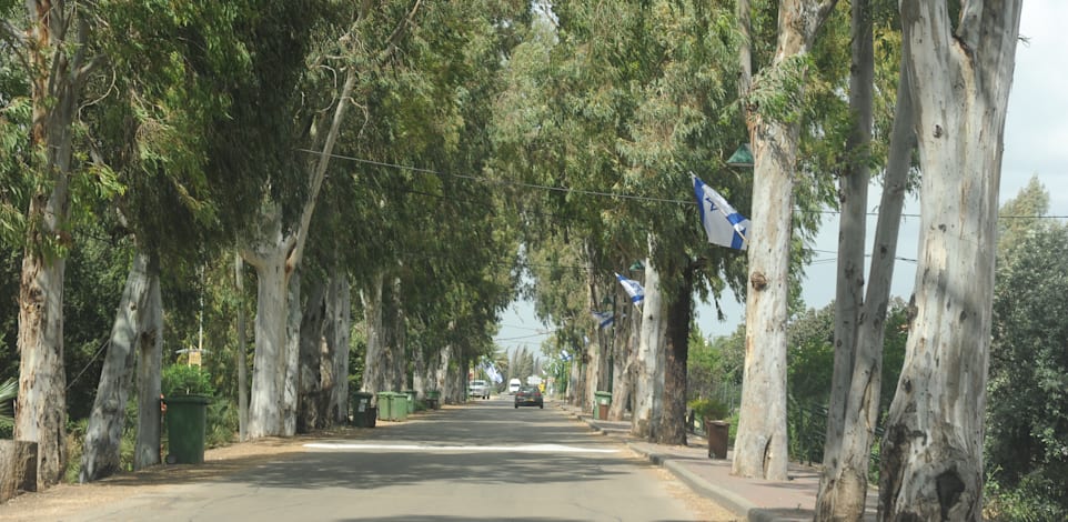 עמק חפר / צילום: איל יצהר