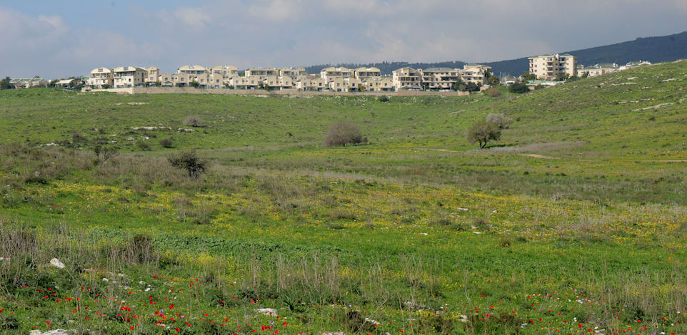 עמק השלום, יקנעם / צילום: איל יצהר