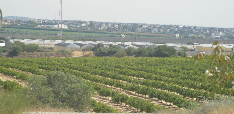 חקלאות מול עזה - נתיב העשרה / צילום: תמר מצפי