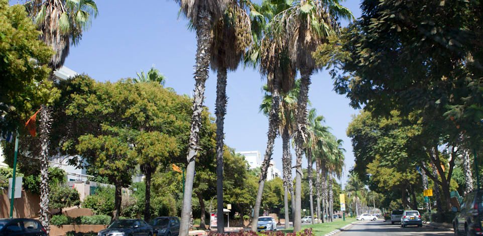 רעננה. השכונה החדשה אמורה להוסיף לעיר 20 אלף תושבים / צילום: שלומי יוסף
