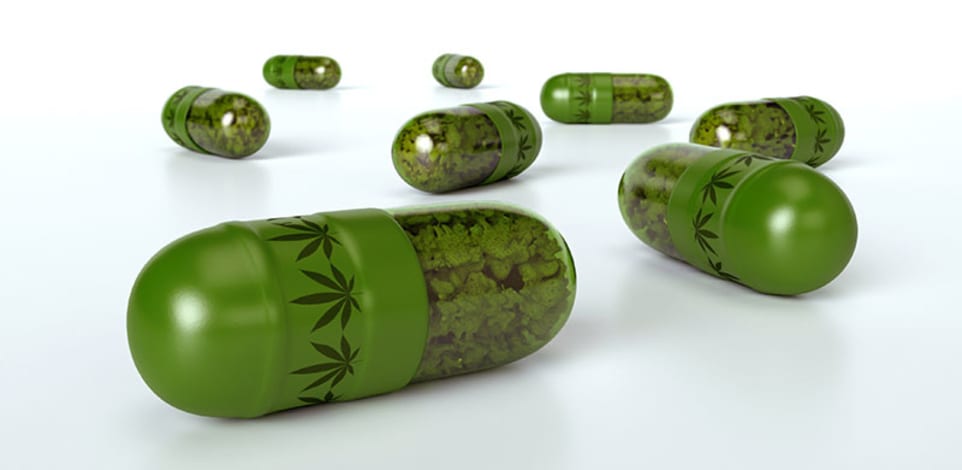 פיתוח תרופות על בסיס צמח הקנאביס / צילום: Shutterstock