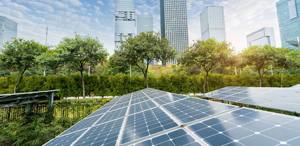 אנרגיה ירוקה / צילום: Shutterstock