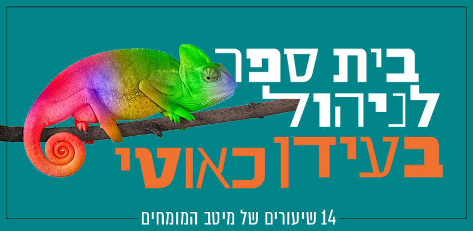 בית ספר לניהול בעידן כאוטי / צילום: Shutterstock