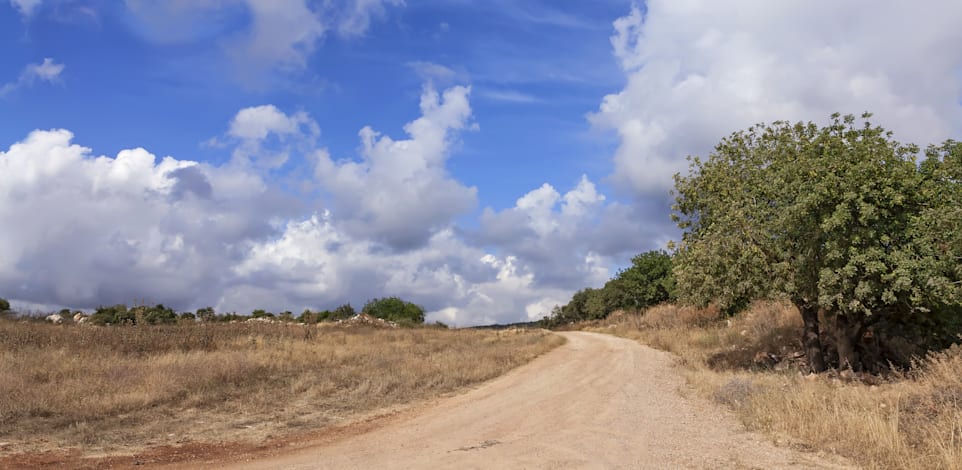 דרך צדדית. מה שנדרש הוא טרקטוריסט וכמה משאיות עם מצע כורכר / צילום: Shutterstock