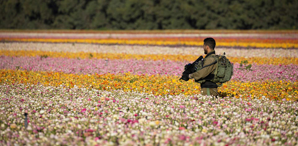 חייל צה"ל צועד בשדה סמוך לעזה / צילום: Reuters, Amir Cohen