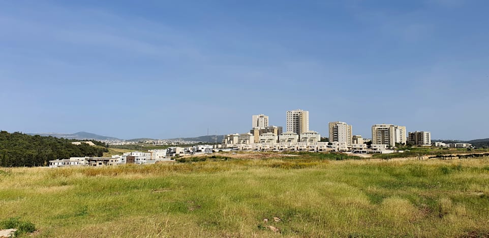 שכונת גבעת אלונים, קריית אתא / צילום: פאול אורלייב