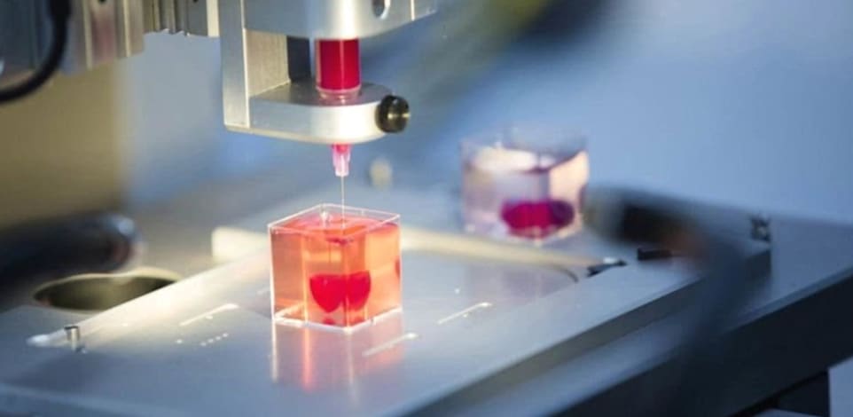 פיתוח איברים במעבדת חברת מטריסלף / צילום: מצגת החברה