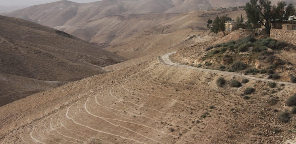 העיר ערד בנויה על שלוחות, כך שהטבע העירוני חודר אליה ומקרב את המדבר לחצרות / צילום: אורלי גנוסר