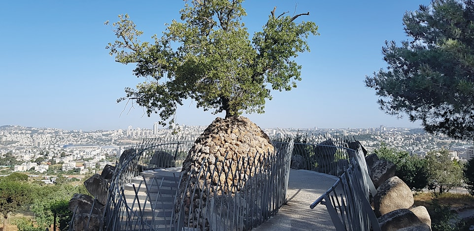 הפרויקט הפיסולי בשילוב צמחים של דן מורין / צילום: אורלי גנוסר