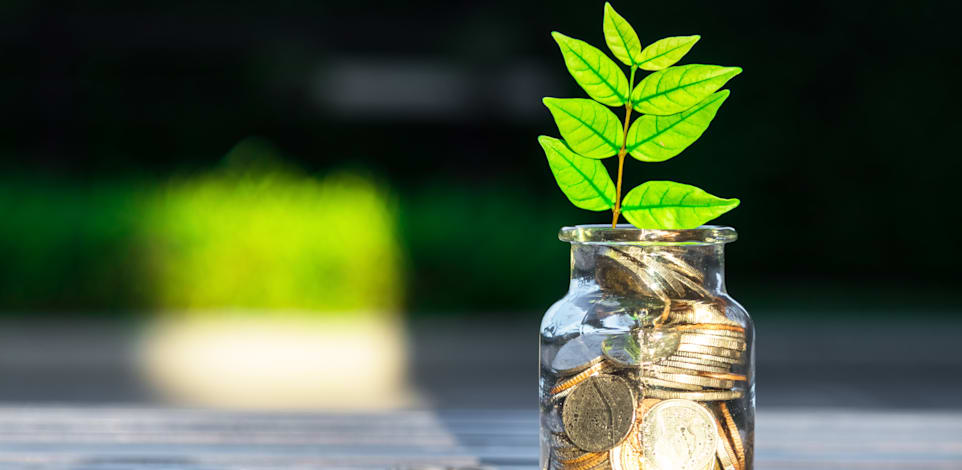 צמיחה כלכלית. ניתן גם להרוויח כסף וגם לשנות את העולם לטובה / אילוסטרציה: Shutterstock