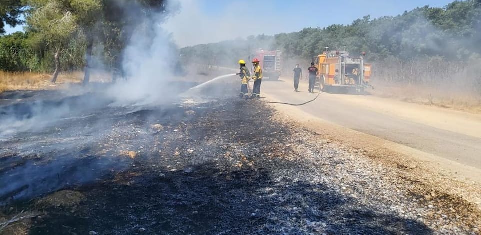 שריפות שנגרמו מהפרחת בלוני תבערה באזור גבול רצועת עזה / צילום: קק"ל