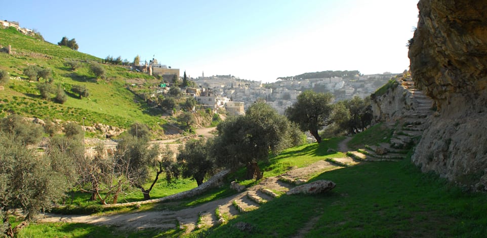 גיא בן הינום / צילום: אבישג אלבז