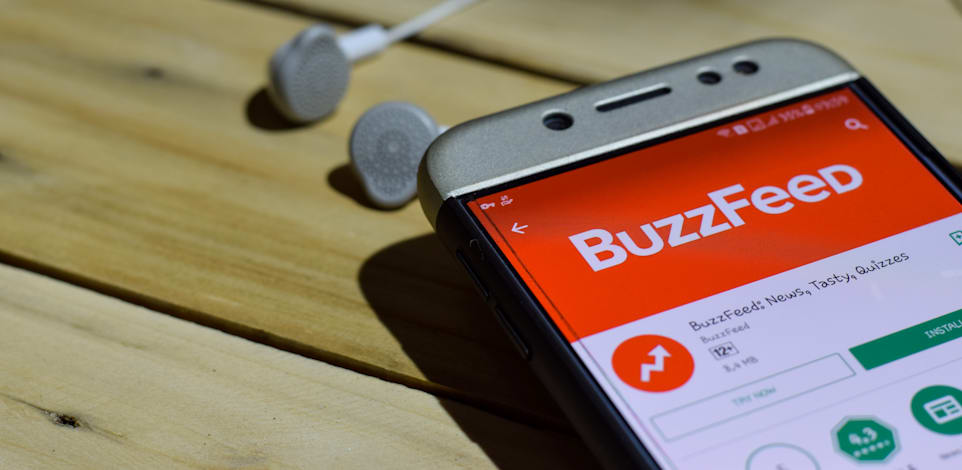 באזפיד / צילום: Shutterstock