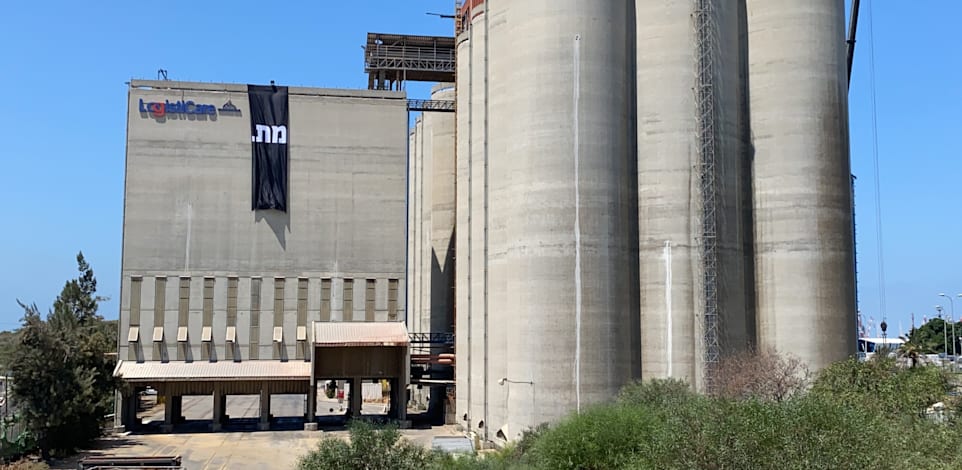 לוגיסטיקר ממגורות / צילום: קוסטה ממן